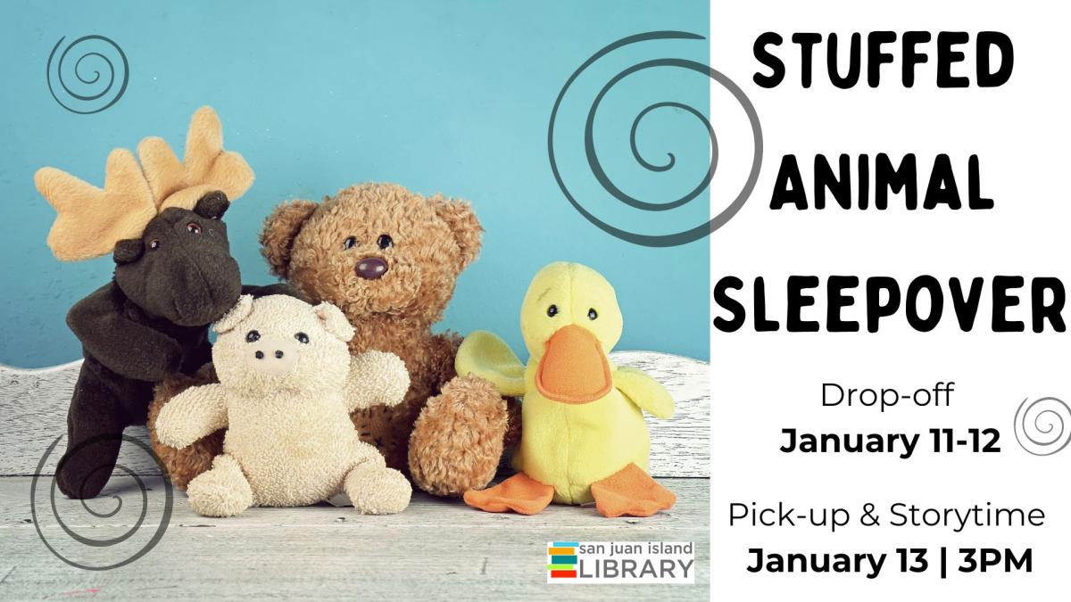 Stuffed Animal Sleepover